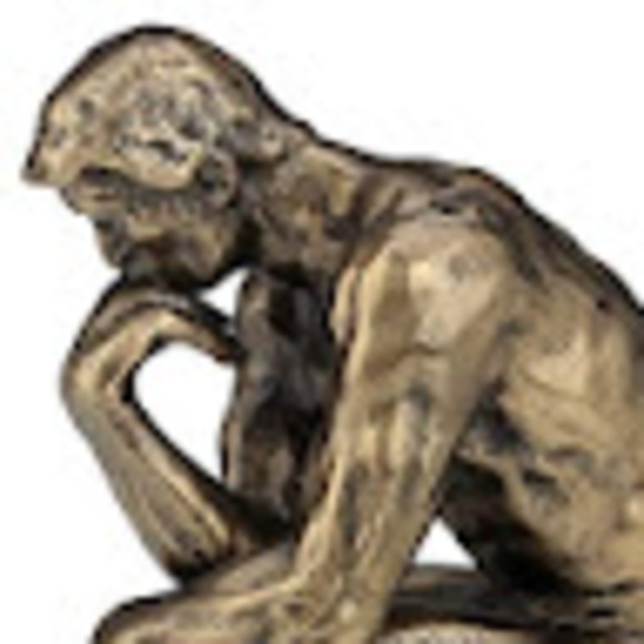 Meet your Posher, Grayson - Picture 1 of 1